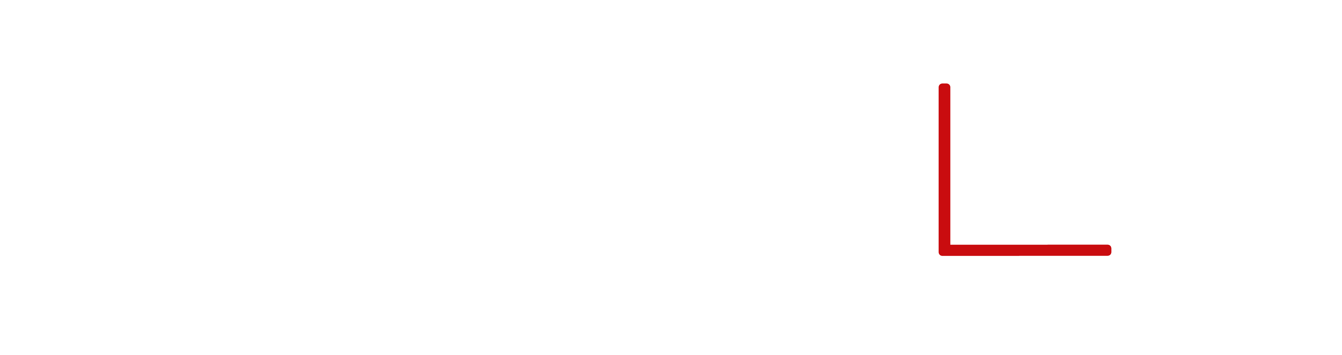 logo Detal Proline